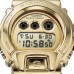 Casio G-Shock GM-6900SG-9DR